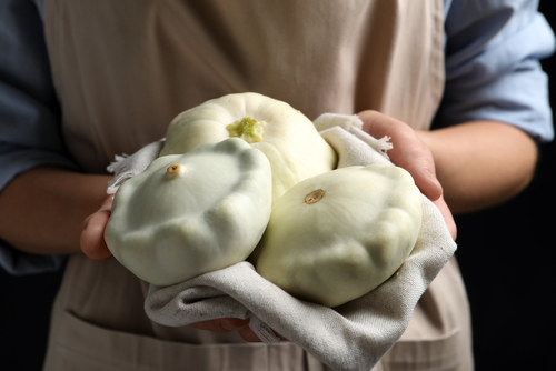 Here, we are growing Doomsday Summer Squash, namely the Scallop White Squash, also known as Patty Pan White Squash.