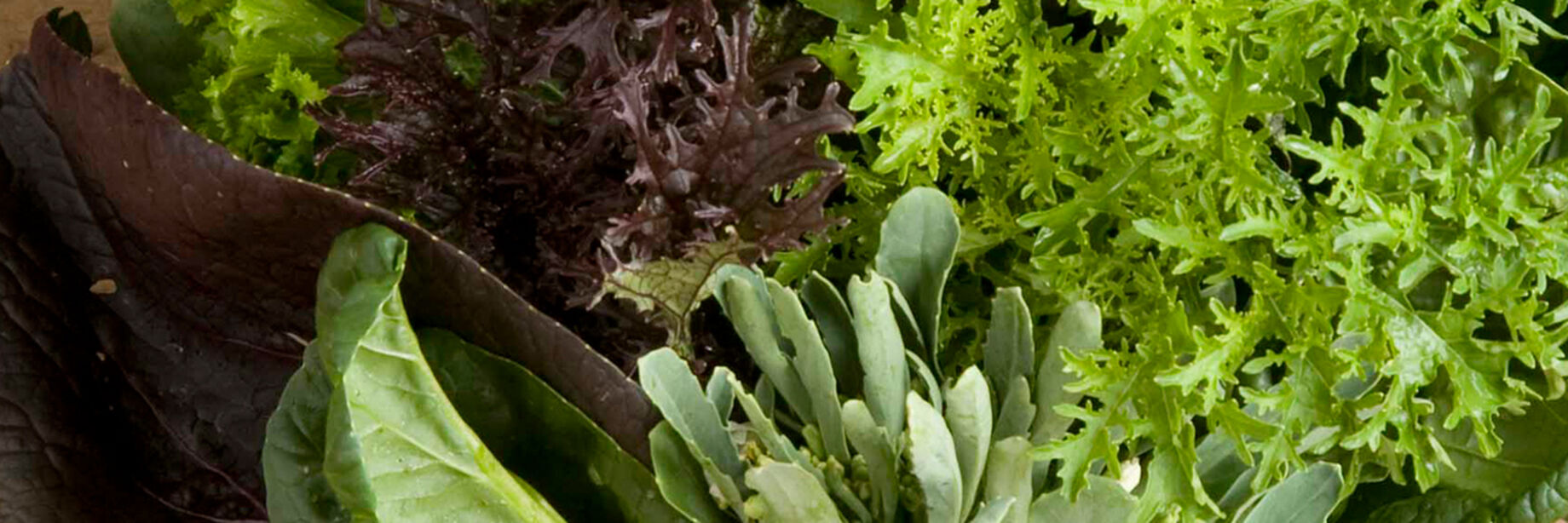 Here are some delicious Asian Greens to enjoy.