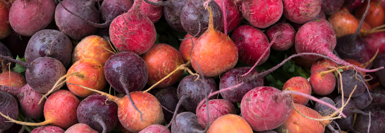 Beets come in some lovely colors to enjoy. Growing them over winter makes them sweeter.